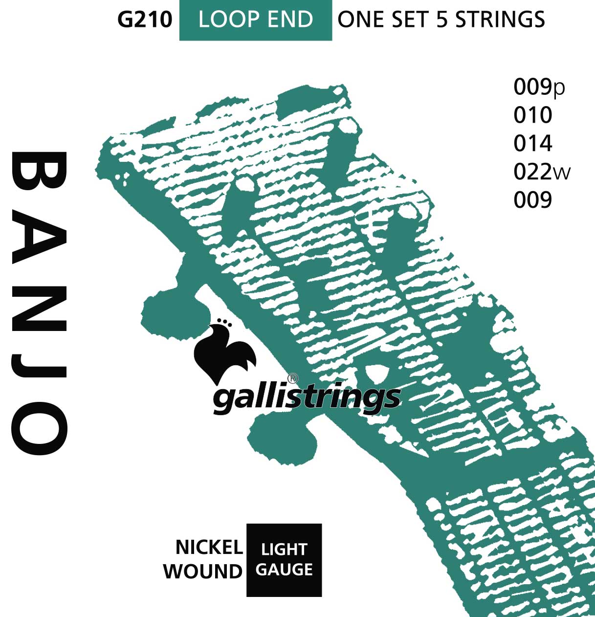 G210 - 5 strings light