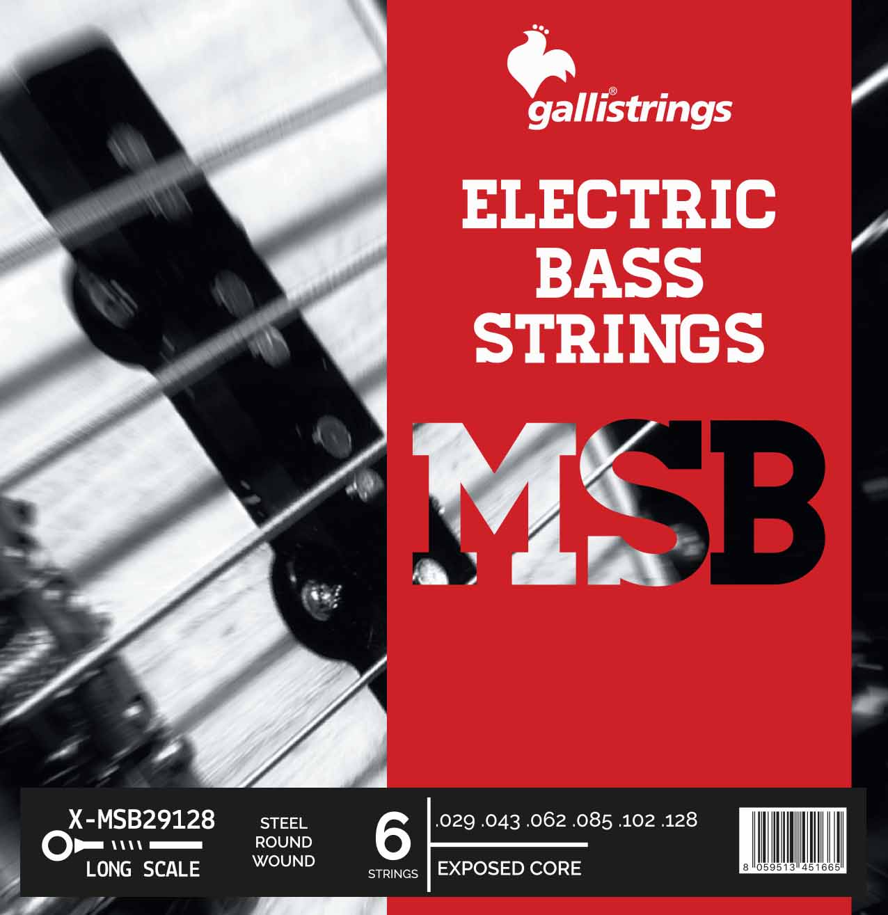 ECS6 - 6 Strings Steel